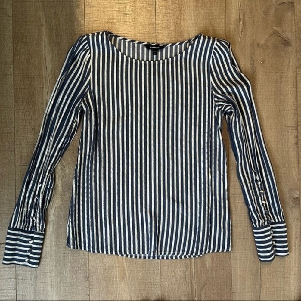 Express Long Sleeve Striped Metallic Blouse in Blue